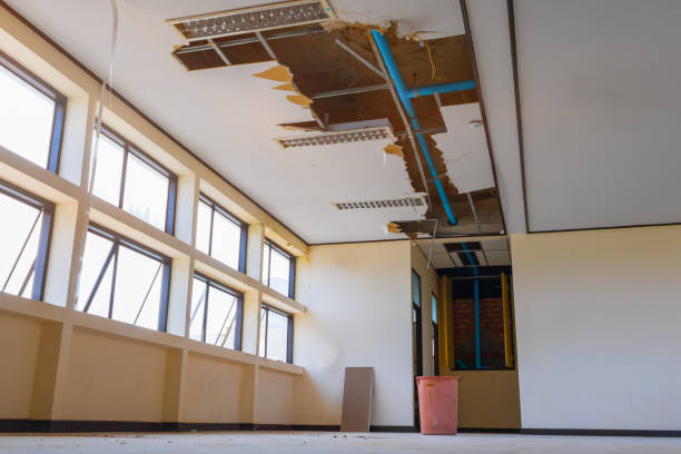 Best Local water damage restoration  in Lake City, IA