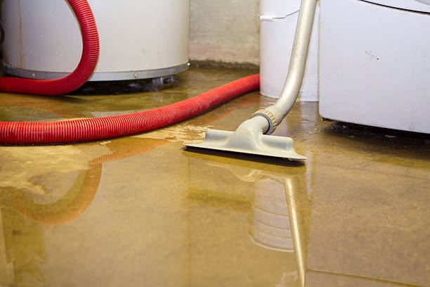 Reliable IA Water damage restoration Solutions