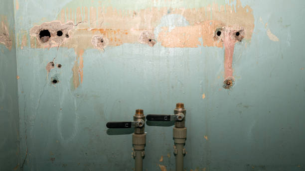 Local water damage restoration in IA