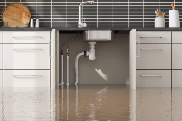Best Basement water damage restoration  in Lake City, IA